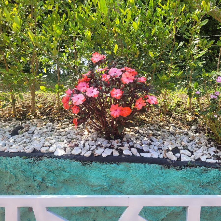 Finca Hotel El Turpial Quimbaya Εξωτερικό φωτογραφία